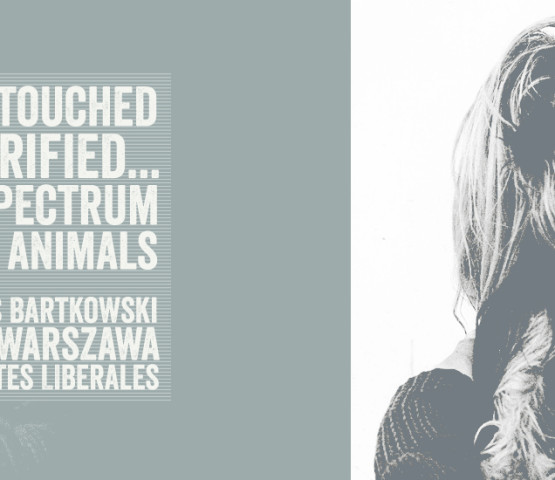 Tickled, touched and terrified... on the spectrum with our animals - wykład prof. Frances Bartkowski - AnimalStudies.pl